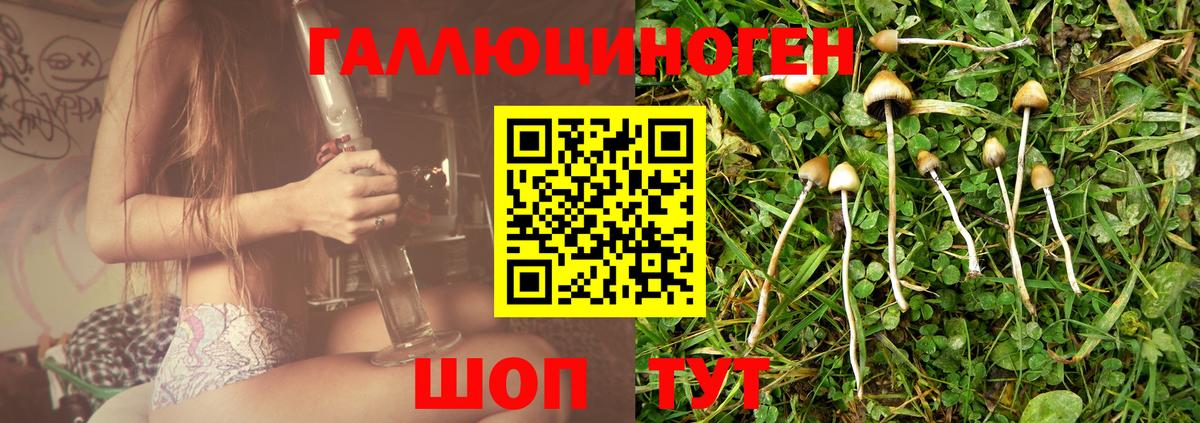 Псилоцибиновые грибы прущие грибы  Вход с VPN  Югорск  Псилоцибиновые грибы мицелий 